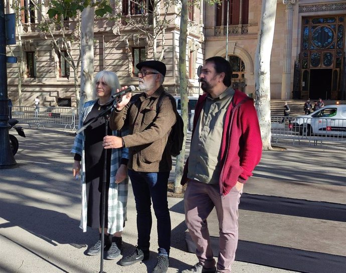 El diputado de la CUP en el Parlament Carles Riera en declaraciones ante el TSCJ