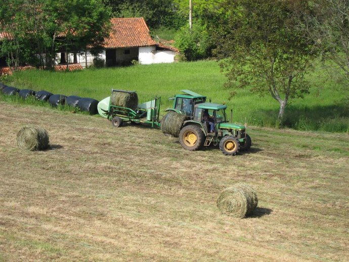 Archivo - Trabajo en el campo. 