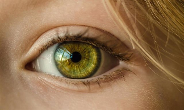 Ópticos-Optometristas Alertan Del Riesgo De Ceguera Debido A La Diabetes
