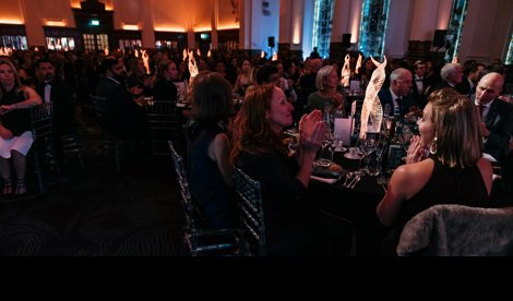 Comunicados Internacional