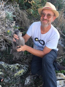 Massimo Sacchi, del Instituto Superior de Investigación y Protección del Medio Ambiente (ISPRA) de Italia, también autor del artículo, con una de las pardelas cenicientas estudiadas.