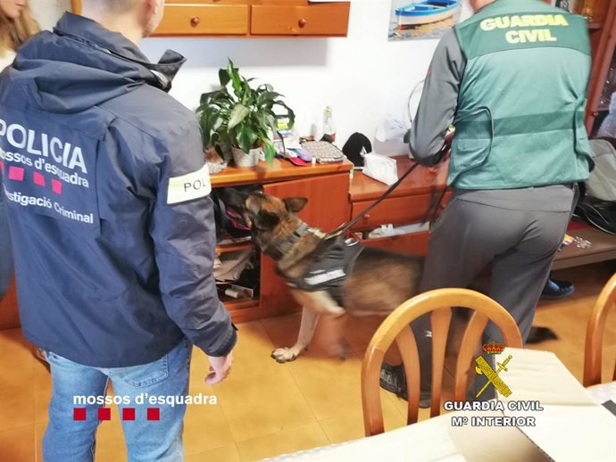 Imágenes de los agentes durante el registro en un domicilio del Camp de Tarragona