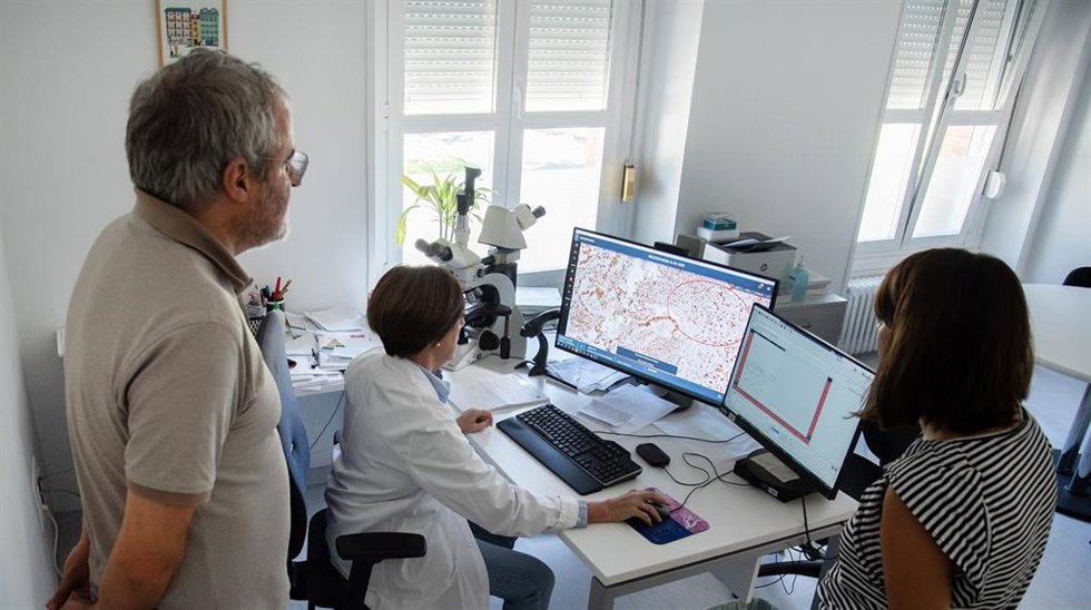 Archivo - Los hospitales navarros digitalizan sus servicios de anatomía patológica.