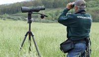SEO/BirdLife comienza programas de ciencia ciudadana para monitorizar las aves de invierno y ayudar a su conservación