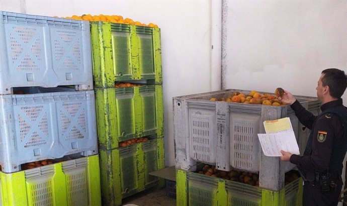 Un agente de la Policía Autonómica en una inspección