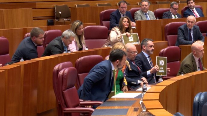 Los procuradores de Vox muestran carteles de 'No a la amnistía' al inicio del Pleno