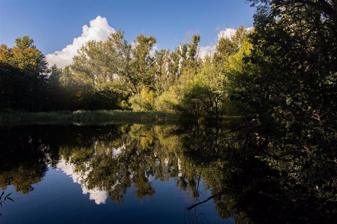 Archivo - Un lago el día que da comienzo el otoño 2023, en el Bosque Finlandés, a 20 de septiembre de 2023, en Rascafría, Madrid (España). El otoño de 2023 en el hemisferio norte comienza el sábado 23 de septiembre, según cálculos del Observatorio Astro