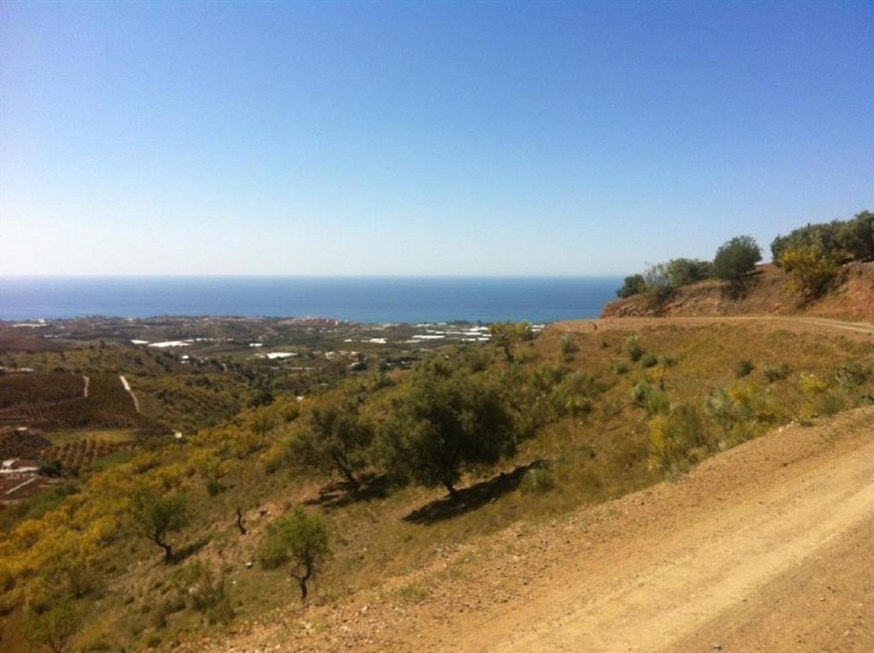 Camino rural en Pizarra