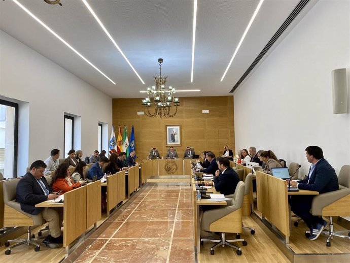 Pleno de la Diputación de Huelva.