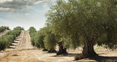 Andalucía