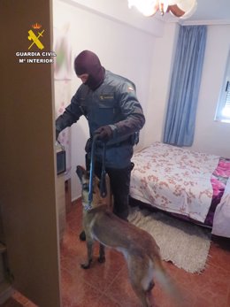 Integrante del operativo de la Guardia Civil en el punto de venta en Ciudad Rodrigo (Salamanca)