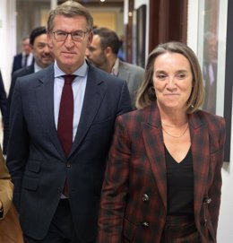 El presidente del PP, Alberto Núñez Feijóo y  la secretaria general del PP, Cuca Gamarra, salen de participar en el segundo día de las Jornadas Parlamentarias "Frente a la amnistía, igualdad, libertad y dignidad", en el Congreso de los Diputados, a 8 de