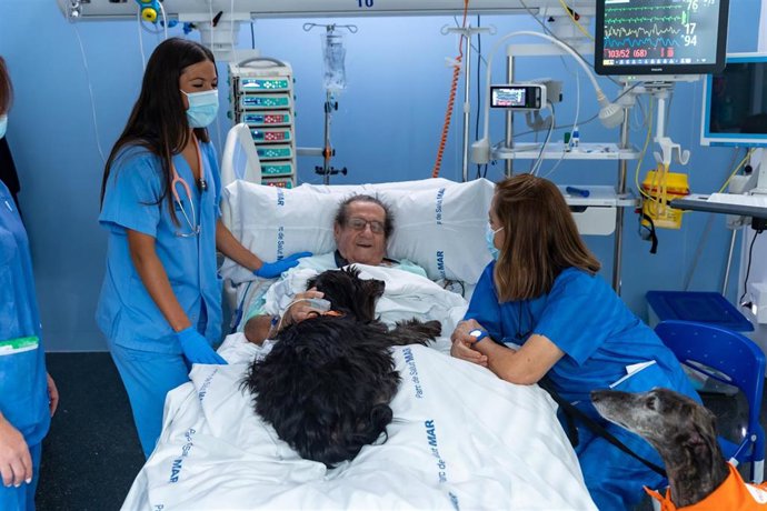 Un paciente en la UCI junto a las perras de terapia Vida y Lu