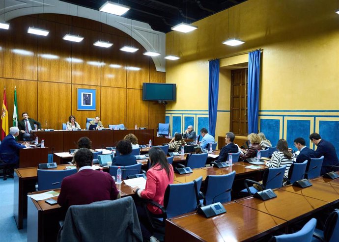 Presentación de los presupuestos 2024 en la Comisión de Salud y Consumo