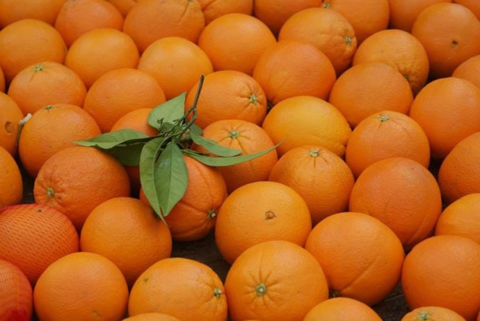 Archivo - Naranjas recolectadas en la Vega del Guadalquivir de Córdoba.