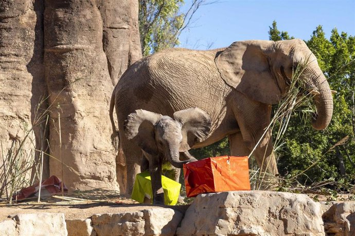 Cumpleaños de Makena en Bioparc