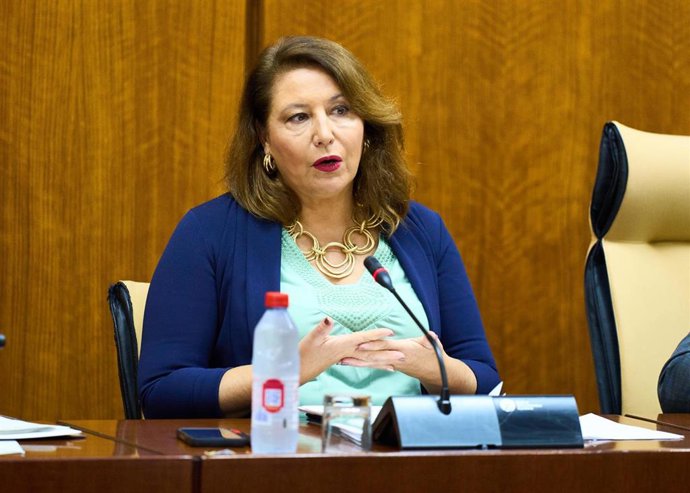 La consejera de Agricultura, Pesca, Agua y Desarrollo Rural, Carmen Crespo, en comisión parlamentaria.