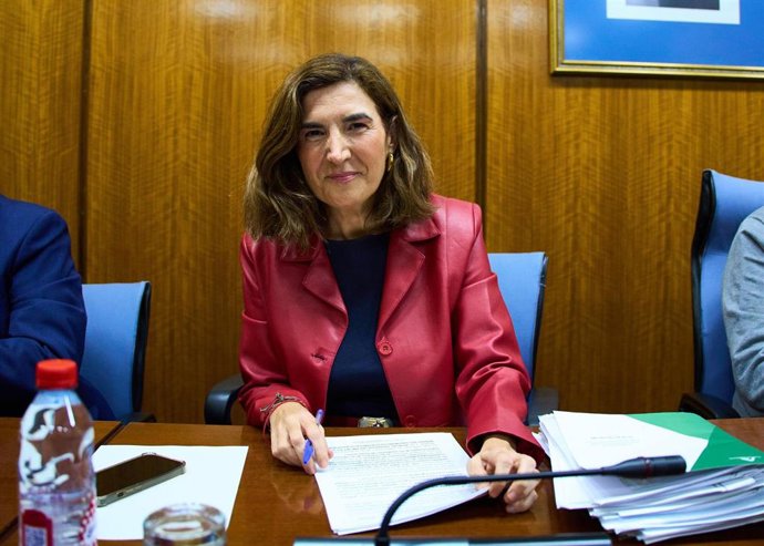 La consejera de Empleo, Empresa y Trabajo Autónomo, Rocío Blanco, ha explicado este jueves en comisión parlamentaria las principales líneas del presupuesto de la Consejería para el próximo año.