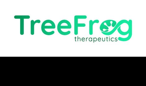 Comunicados Internacional