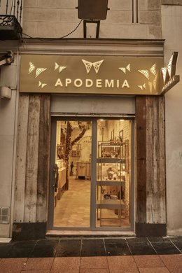 Archivo - Tienda de Apodemia