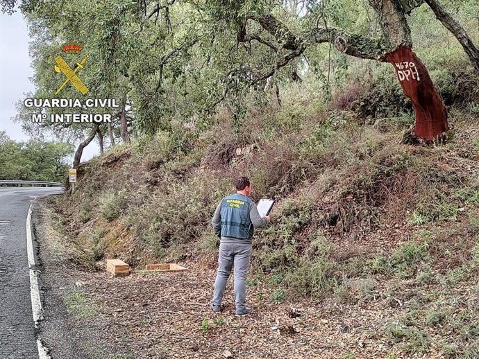 Agente de la Guardia Civil de Huelva investiga el hurto de corcho en la sierra.