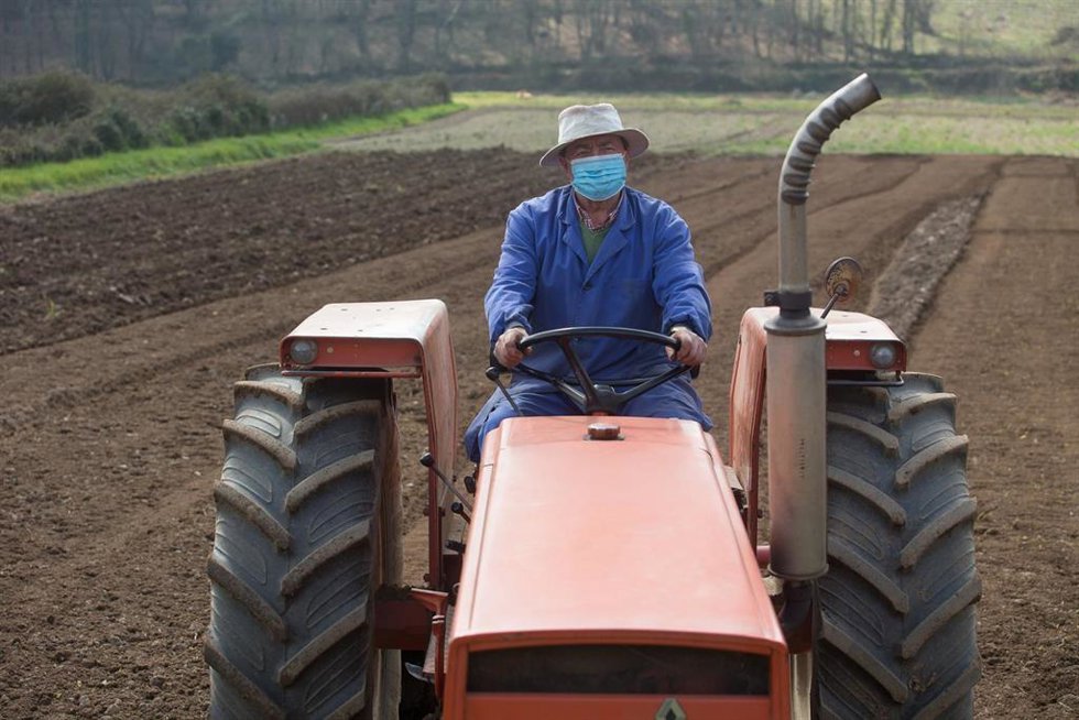 Archivo - Manuel Rodríguez ara sus fincas con el tractor y mascarilla para plantar patatas  en Lugo, Galicia (España), a 24 de marzo de 2021. El sector primario ha sido fundamental durante la pandemia. Agricultores y ganaderos han dado lo mejor de sí mi