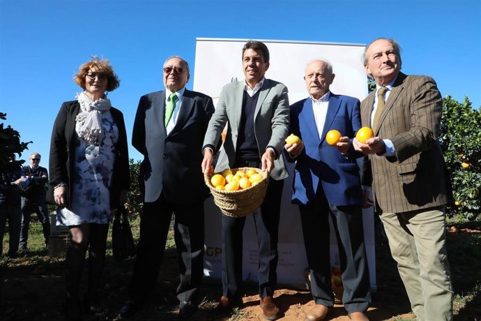 Carlos Mazón asiste al acto del primer corte de cítricos de la campaña