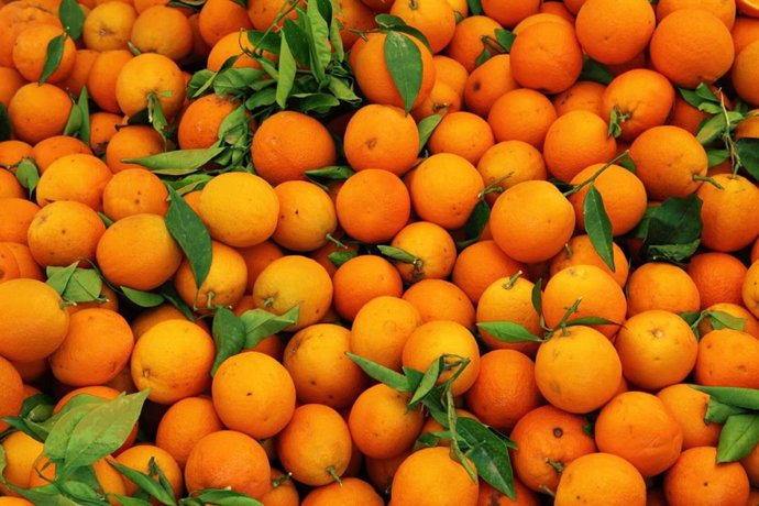 Archivo - Foto recurso de naranjas