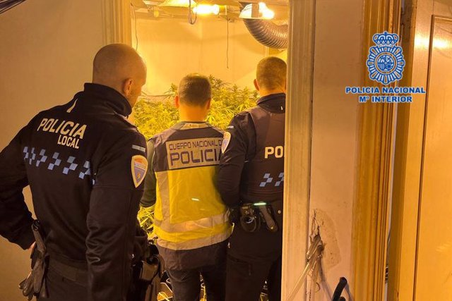 Imagen de archivo de agentes de la Policía Nacional interviniendo cultivos de marihuana.