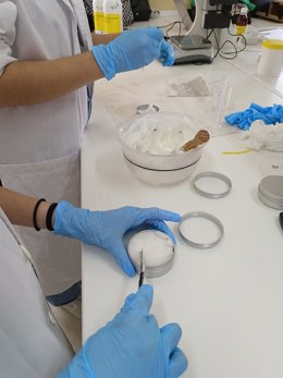 Alumnas de FP crean una empresa piloto de productosde estética para trabajar asignaturas de ciclo formativo