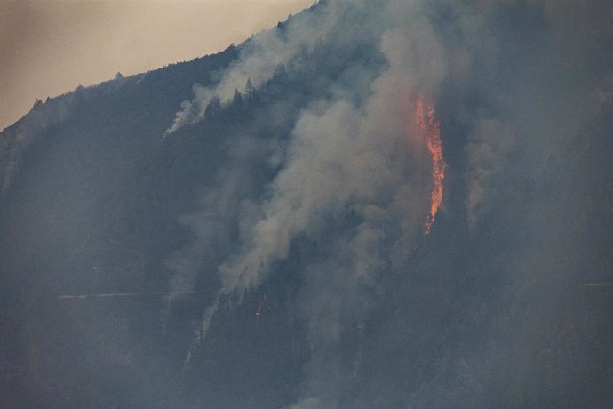 Archivo - El incendio forestal, a 19 de agosto de 2023, en La Orotava, Tenerife, Islas Canarias (España). La situación del incendio forestal que comenzó en la noche del 15 de agosto en el monte de Arafo, en la isla de Tenerife, se ha complicado en la zona