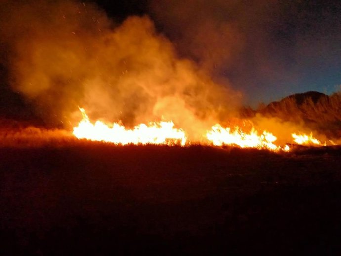 Incendio forestal en Son Llendera.