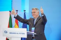 PP vasco cree que sería un "desastre" traspasar la competencia de la Seguridad Social "en los términos" que quiere PNV