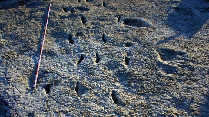Hallada una huella fósil de un artrópodo desconocido, de un metro de longitud, semejante a una 'cucaracha'