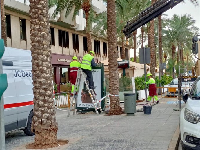 Operarios reponen la marquesina destruida tras la caída de una palmera en Almería por el paso de la borrasca 'Ciarán'.