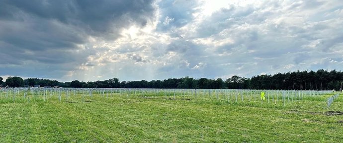 Nuevos proyectos de Axial Structural