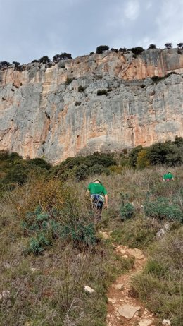 Rescatado un escalador tras sufrir una caída desde 16 metros de altura en Etxauri.