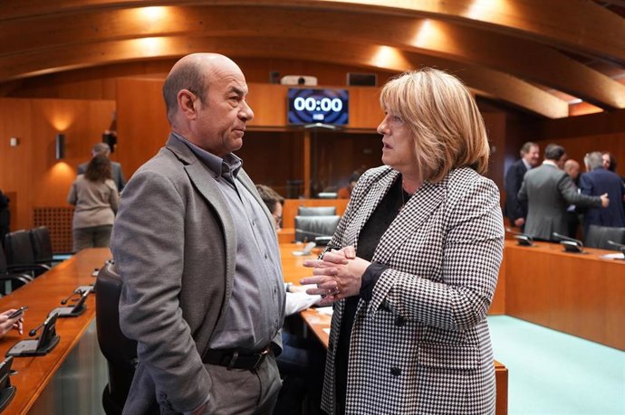 La consejera de Presidencia, Interior y Cultura del Gobierno de Aragón, Tomasa Hernández, y el diputado del PSOE Daniel Alastuey.