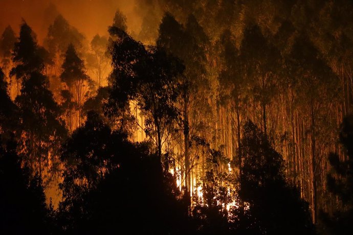 Archivo - Árboles de eucalipto arden durante el incendio, a 12 de octubre de 2023, en Vidal, Trabada, Lugo, Galicia (España). La proximidad del incendio a núcleos de población ha obligado a declarar la denominada 'situación 2' en el ayuntamiento lugués de