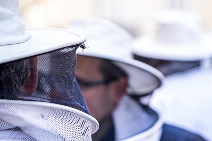 Archivo - Un apicultor durante una concentración con el sector apícola de la Comunitat Valenciana, ante las puertas de Les Corts, a 2 de febrero de 2023, en Valencia, Comunidad Valenciana (España). 