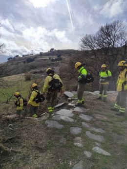Bomberos forestales en imagen de archivo.