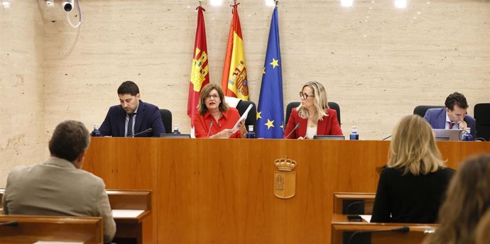 La directora general de CMM, Carmen Amores, en su comparencia en las Cortes regionales.