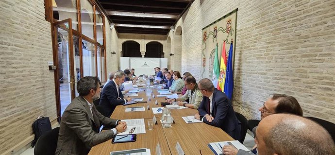 El delegado de la Junta en Sevilla, Ricardo Sánchez, ha presidido el Comité Asesor provincial del Plan Infoca en la provincia.