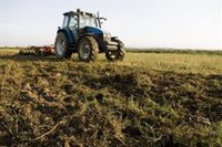 Agricultura y Telefónica seleccionan a nueve empresas para participar en un programa de incubación