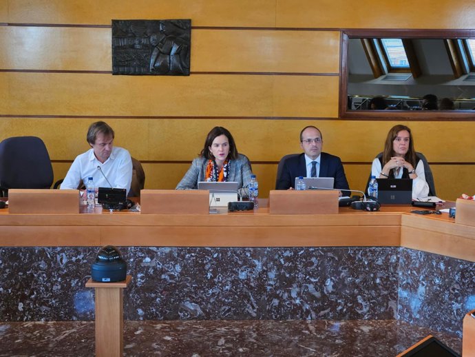 Diputada Itxaso Berrojalbiz en la comisión de Hacienda y Finanzas