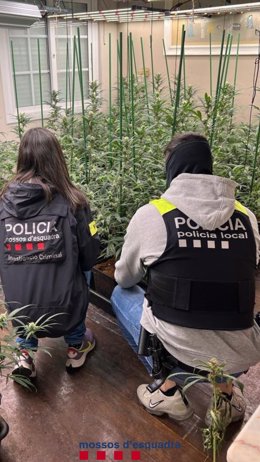 Imatge de l'operatiu policial