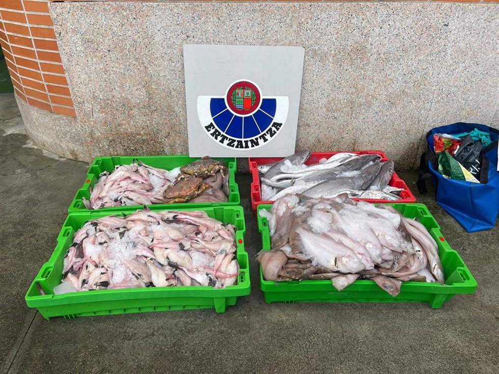 Pescado en malas condiciones incautado por la Ertzaintza