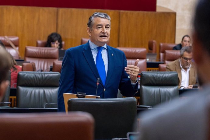 El consejero de la Presidencia, Antonio Sanz, este miércoles en el Pleno del Parlamento. 