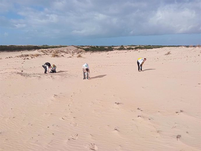 Grupo de voluntarios recogiendo perdigones en el Cerro de los Ánsares, en Doñana.