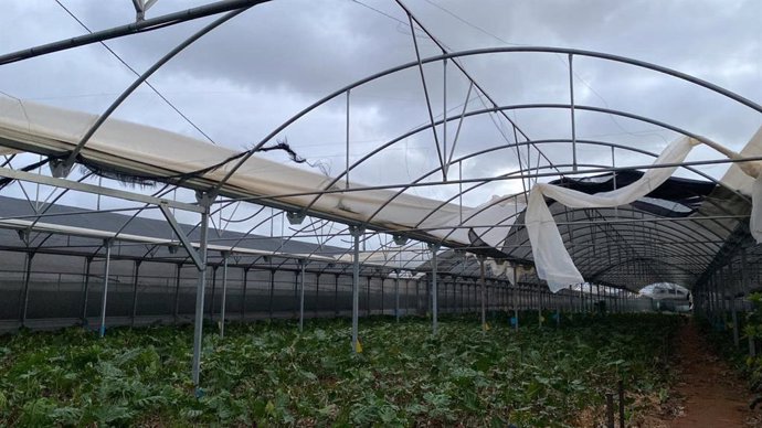 Daños ocasionados por la borrasca Bernard el pasado 22 de octubre en un invernadero de Chipiona (Cádiz).